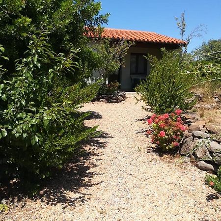 Agriturismo Su Birde โอโรเซย ภายนอก รูปภาพ