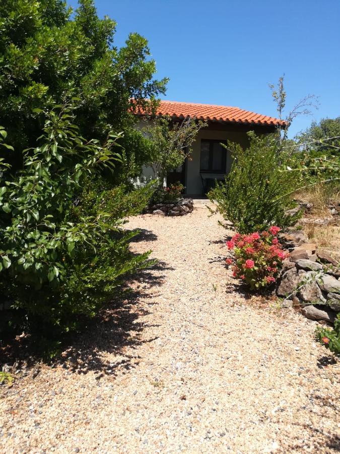 Agriturismo Su Birde โอโรเซย ภายนอก รูปภาพ