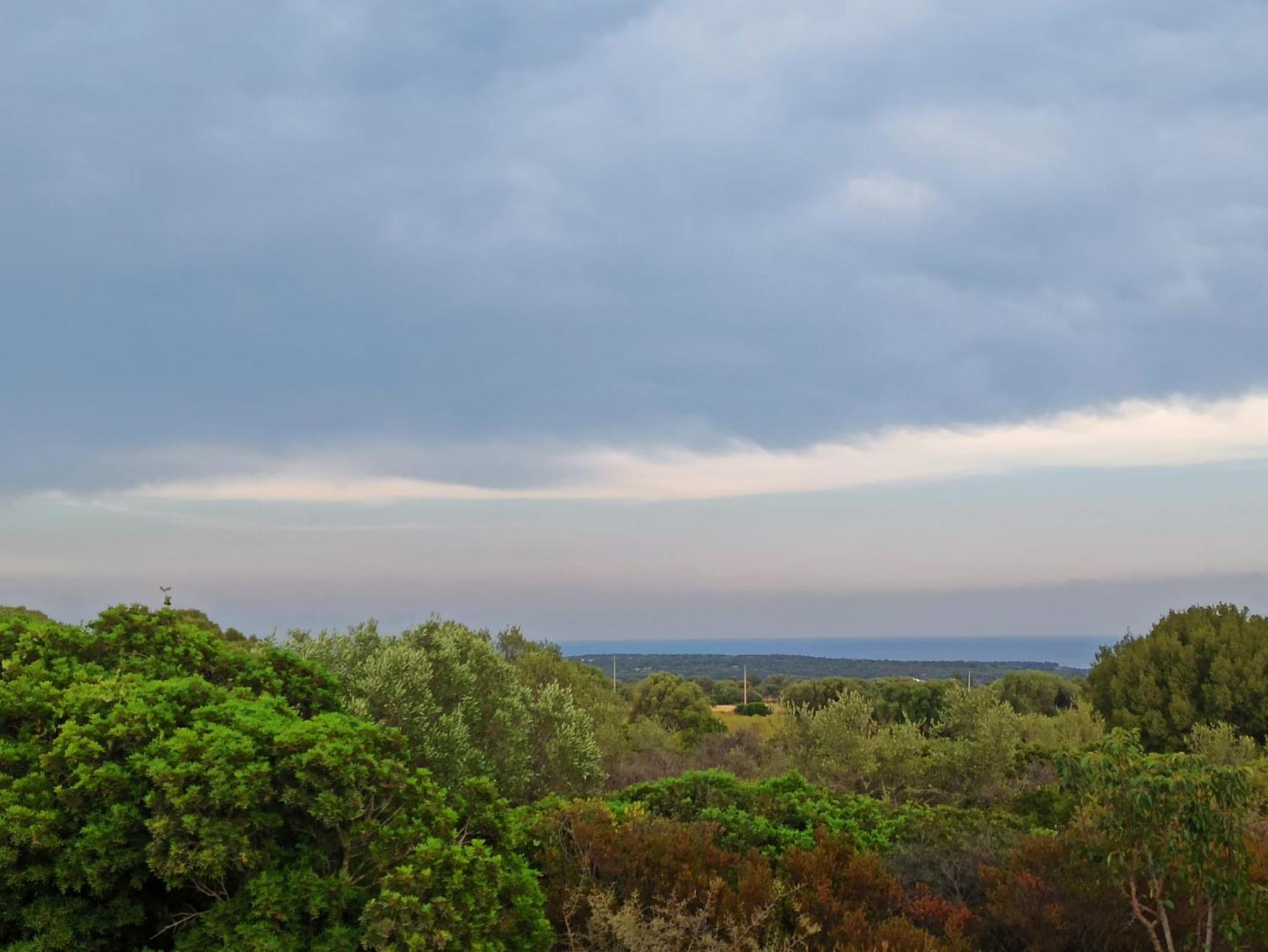 Agriturismo Su Birde โอโรเซย ภายนอก รูปภาพ
