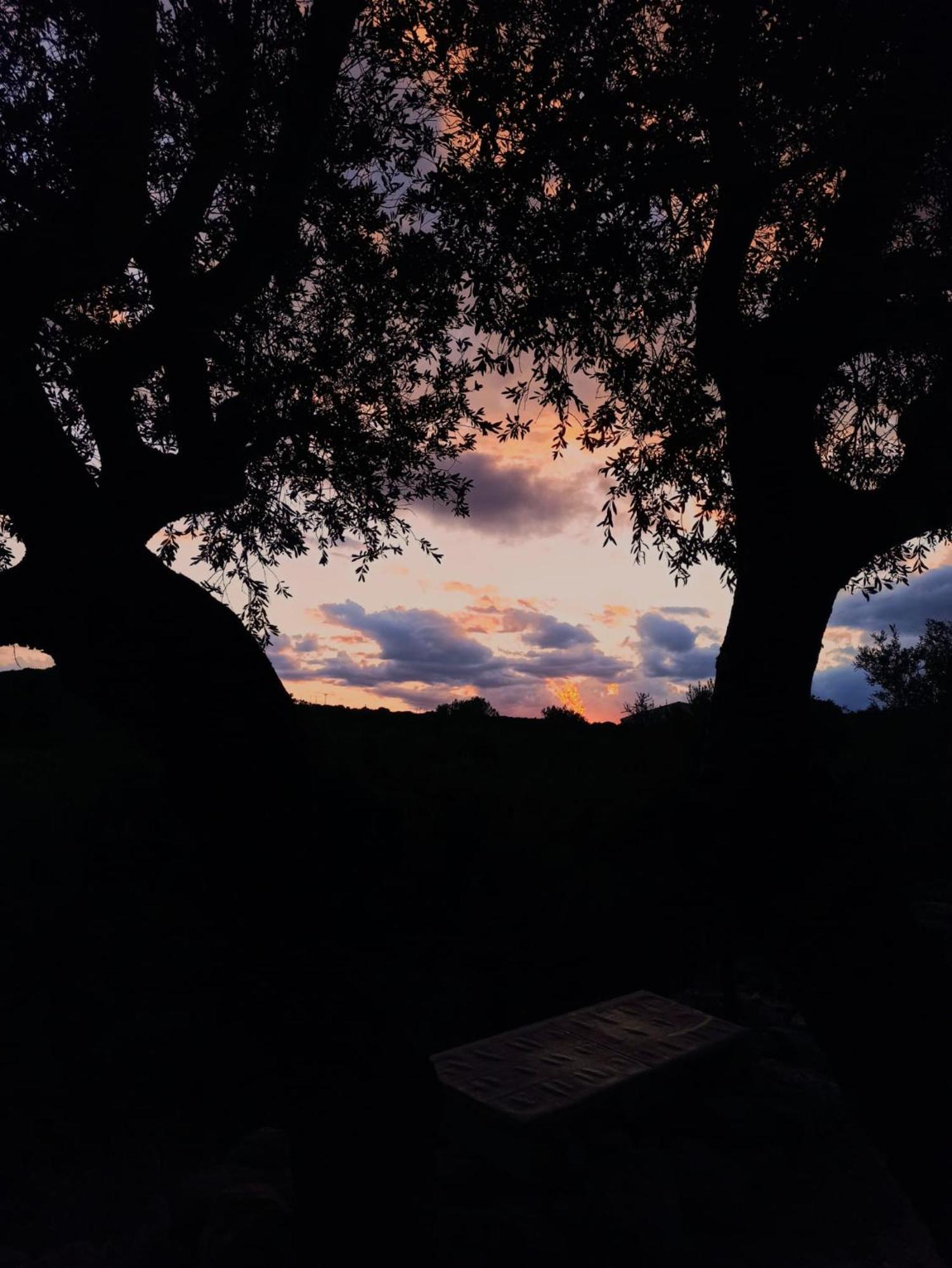 Agriturismo Su Birde โอโรเซย ภายนอก รูปภาพ