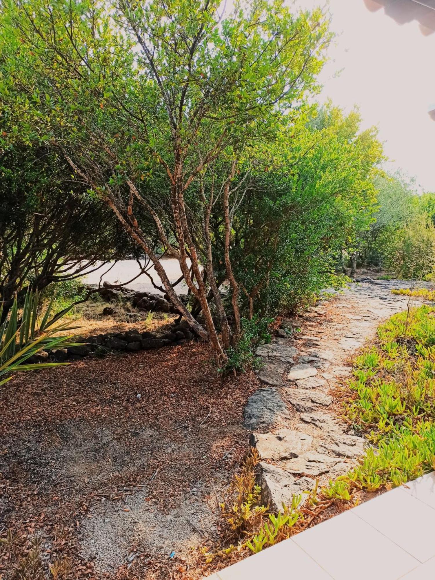 Agriturismo Su Birde โอโรเซย ภายนอก รูปภาพ